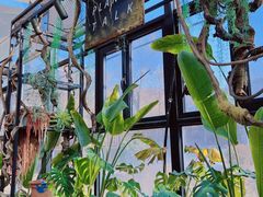 -北马山庄植趣咖啡