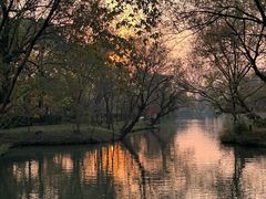 -西溪国家湿地公园