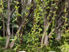 -外高桥保税区南(地铁站)