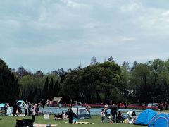 -上海滨江森林公园