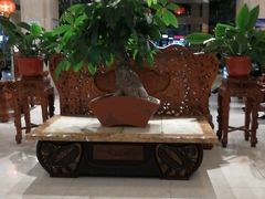 -汕头金乐大酒店