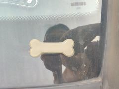 -上海德星奔驰(江杨南路店)