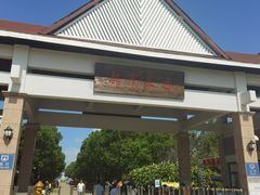-上海都市菜园
