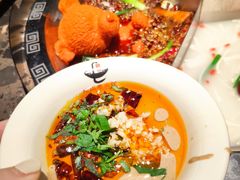 -重庆地瓜老火锅(广渠门店)