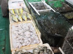 -鸿达渔港