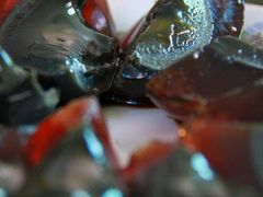 IMG_4260-丫丫蟹庄·苏式园林农家乐·阳澄湖大闸蟹(阳澄湖莲花岛店)