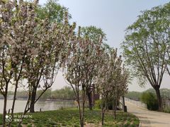 -石家庄市植物园