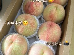 -老袁家蜜桃农场·阳山水蜜桃