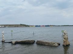 -呼兰河口湿地公园