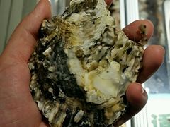 android_upload_pic-鼎香缘海鲜自助火锅烤肉(锦辉购物广场店)
