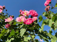 -杭州城北体育公园