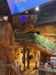-探洞工场(丹尼斯7天地店)