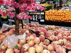 -北京华联生活超市(北京常营店)