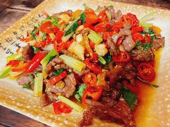 -青城甲(青城山店)