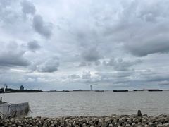 -上海滨江森林公园