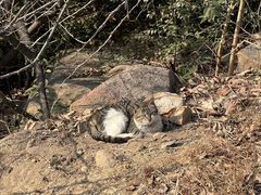 -瑜上·山食小馆