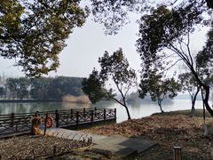 -沙家浜风景区