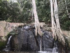 -呀诺达热带雨林