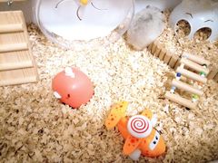 -海底捞火锅(龙湖三千集店)