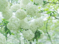 -大龙山(地铁站)