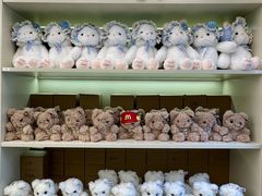 -深圳湾万象城(南山店)