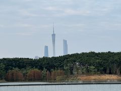 -海珠湖公园