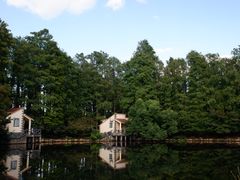 -上海共青森林公园