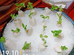 -火社火锅(平安大街店)