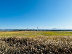 -野鸭湖国家湿地公园