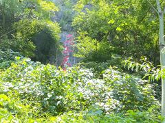 -融水老君洞景区