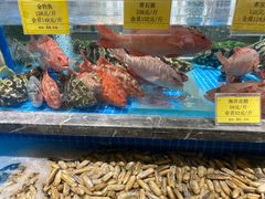 -皇宫大酒店