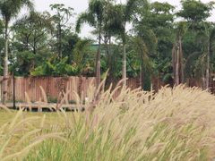 -番禺广场(市桥街道)