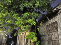 -青州古城