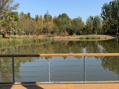 -东郊湿地公园