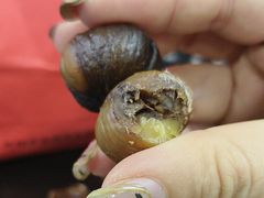 -金栗王(清扬路店)