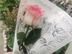 -FEI FEI FLOWER鲜花店·气球派对·宝宝宴布置(虹口德必运动Loft店)