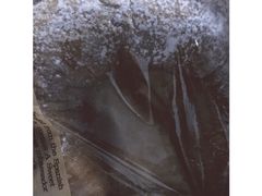 可莎蜜兒(学林街店)-可莎蜜兒(学林街店)