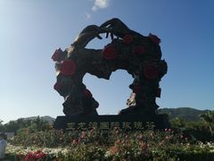 -亚龙湾国际玫瑰谷