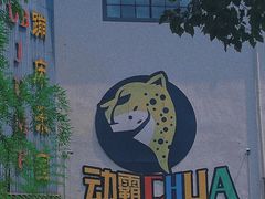 -嘿哟动霸CHUA·新潮玩运动娱乐中心·蹦床滑冰团建乐园