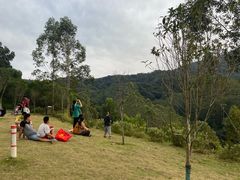 -黄埔油麻山森林公园