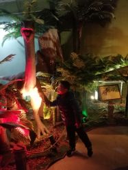 点击看大图 -恐龙探索乐园(磁器口店)