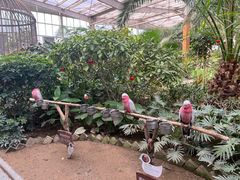 -南宫五洲植物乐园