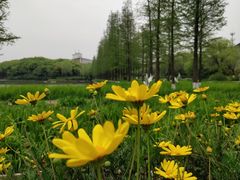 -圩墩遗址公园