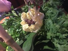 蔬菜拼盆-左庭右院鲜牛肉火锅(新梅广场店)