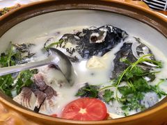 千岛湖有机鱼头-全乐鱼馆·淳牌有机鱼直营店