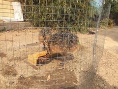 -北京鹿世界主题园