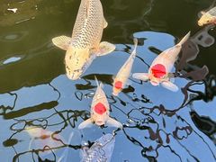 -永红源啤酒·烧烤·海鲜·大排档(台柳路店)