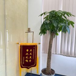 -Yestar宁波艺星整形医院