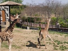 -济南野生动物世界