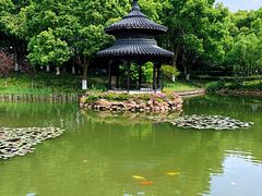 -天目湖山水园